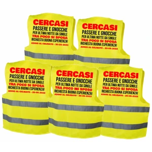 Pacchetto Gilet Addio al Celibato in corso Cercasi donne Ultima notte da single