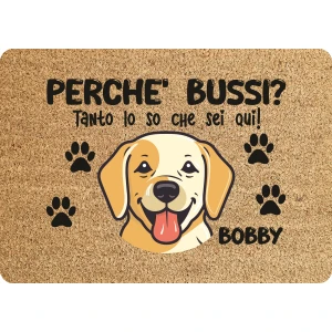 Tappeto PERSONALIZZATO con nome cane divertente Labrador Perchè bussi? Zerbino in poliestere 60x40 cm