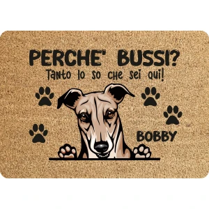 Tappeto PERSONALIZZATO con nome cane divertente Levriero Perchè bussi? Zerbino in poliestere 60x40 cm