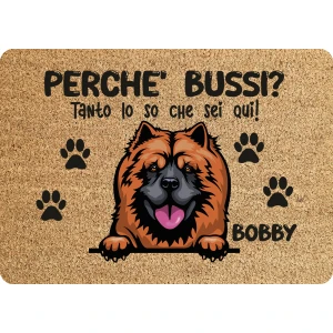 Tappeto PERSONALIZZATO con nome cane divertente Chow Chow Perchè bussi? Zerbino in poliestere 60x40 cm