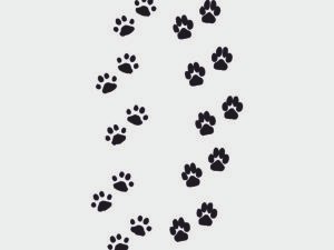 Adesivo murale Wall Sticker Zampe - cane - gatto - love - idea regalo per la casa Dimensioni 60x30 cm