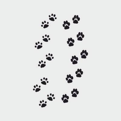 Adesivo murale Wall Sticker Zampe - cane - gatto - love - idea regalo per la casa Dimensioni 60x30 cm